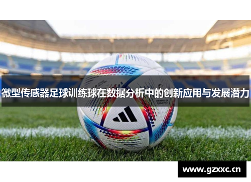 微型传感器足球训练球在数据分析中的创新应用与发展潜力